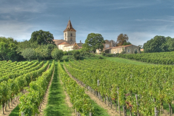 Old Liquors, Château Bourdieu, Vineyards